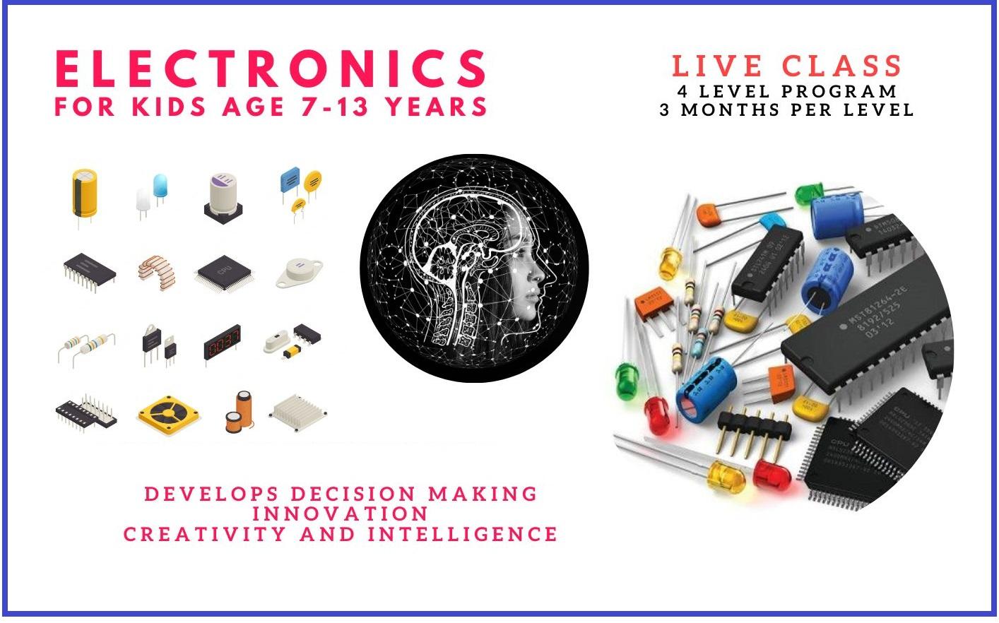 Certified Electronics Online Live Classes For Kids – Per Level
